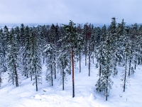 Tahko
